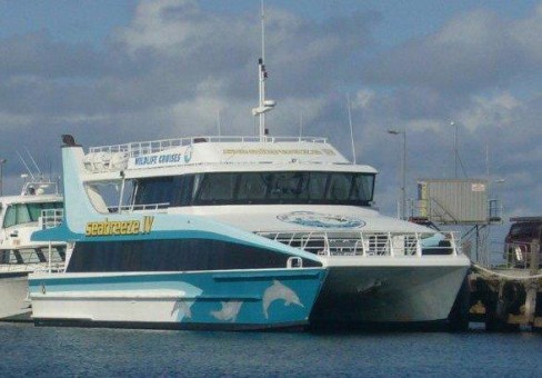 PF 7094 “Seabreeze IV”