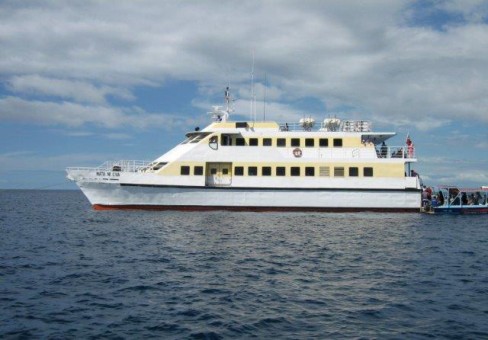 PF 7282 “Seacat 32”